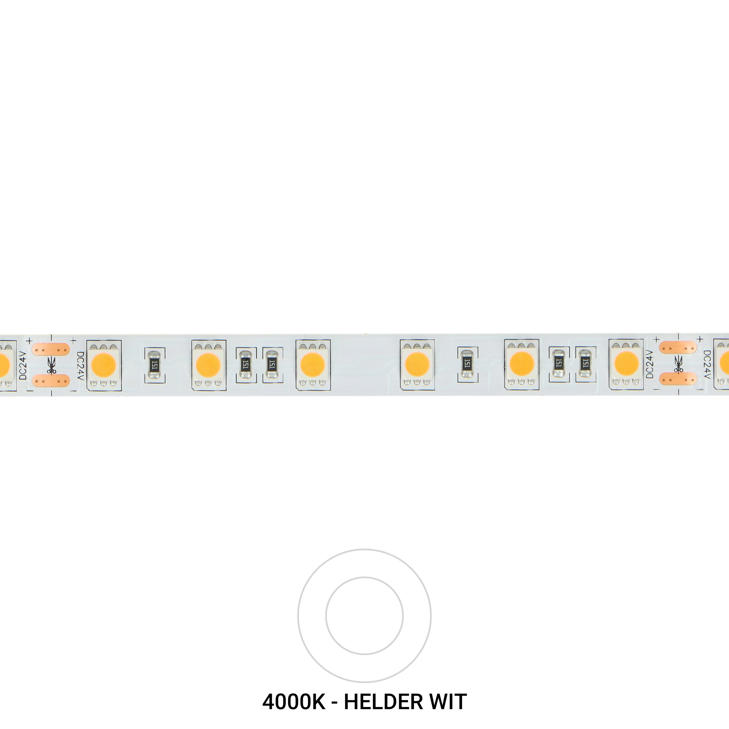 dat is alles Ja huiswerk maken LED strip Helder Wit (60 LEDs/m 24V) - Lichtpartner